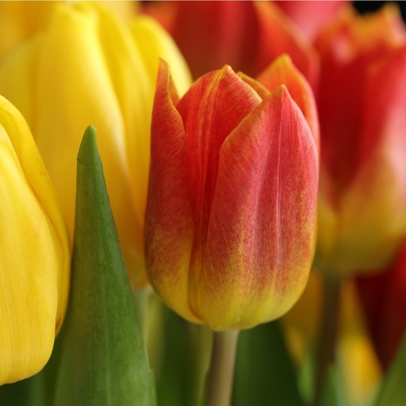 Ruth @ ModeBay 🇨🇦 ⭐️⭐️⭐️⭐️⭐️ - Picture 9 of 12